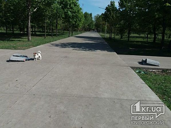 Большое фото