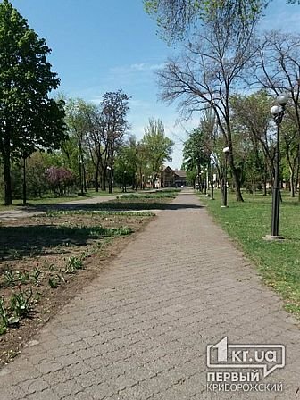 Большое фото