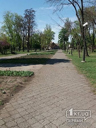 Большое фото