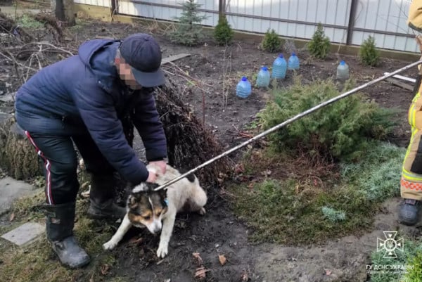 в ГСЧС спасли собаку