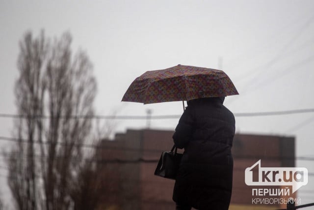 Дождь со снегом и похолодание: погода в Кривом Роге на 3 февраля