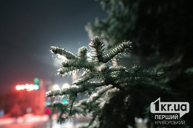 Погода в Кривом Роге на 23 декабря