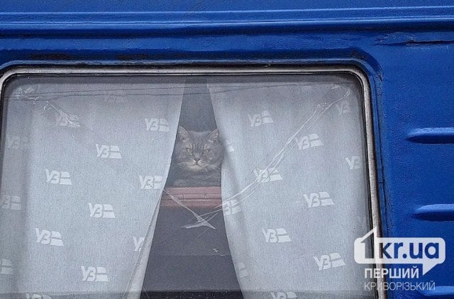 Сигнал о лавине, сабля, ошейник с подсветкой — что теряли в поездах в 2025 году