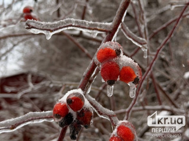 Какую погоду ожидать криворожанам 22 февраля