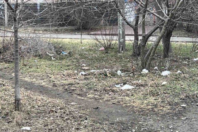 Обочины и остановки Кривого Рога превращаются в свалки — горожан просят не мусорить