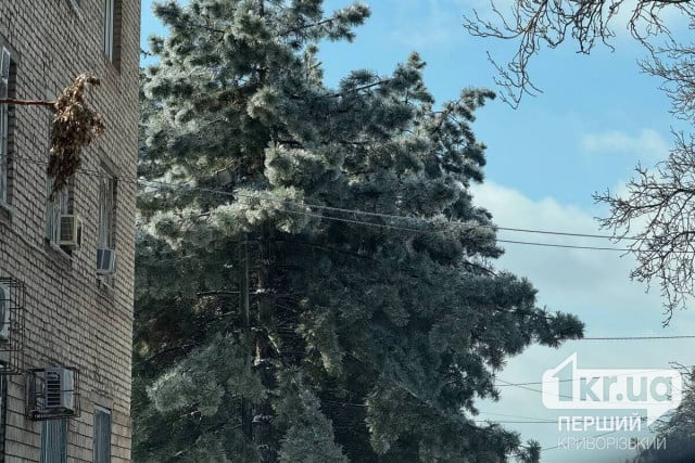 Какая будет погода в Кривом Роге в понедельник 2 марта