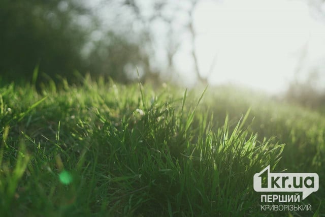 Какой погоды ждать криворожанам 16 апреля