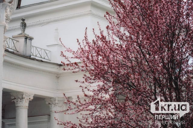 Погода в Кривом Роге 15 апреля