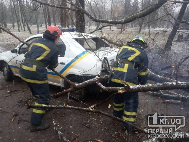 В Кривом Роге на авто полиции рухнуло дерево