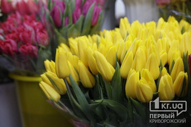 Какой будет погода в Кривом Роге 2 марта и что советуют астрологи в этот день