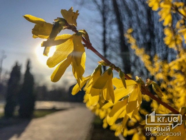 Какой будет погода в Кривом Роге 5 марта и что советуют астрологи