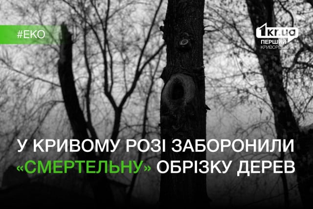 В Кривом Роге депутаты проголосовали против обрезки деревьев «до столба»