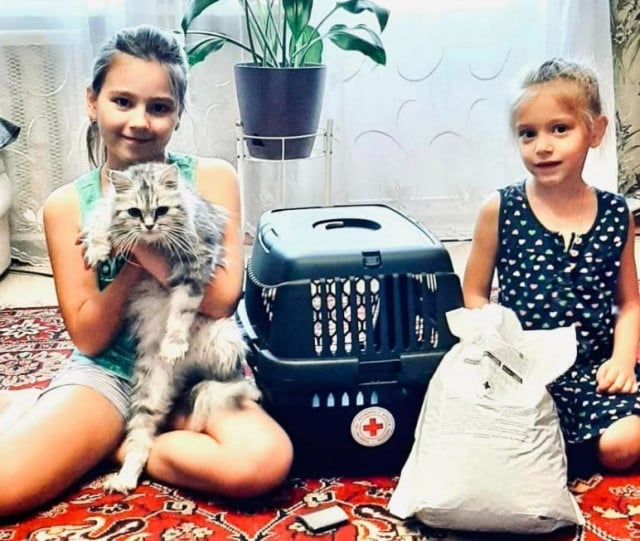 В Кривом Роге Красный Крест выдает корм для домашних животных: кто может получить