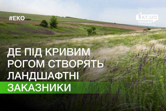 Под Кривым Рогом создадут два ландшафтных заказника