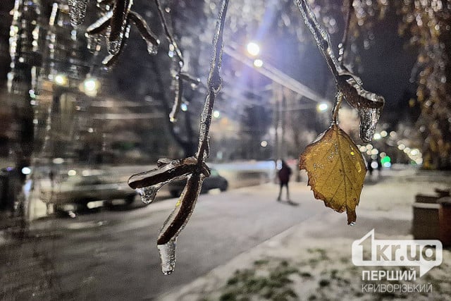Погода в Кривом Роге 11 декабря