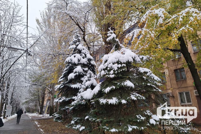 Погода в Кривом Роге 18 декабря