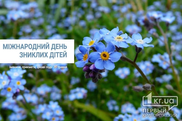 25 травня — Міжнародний день зниклих дітей