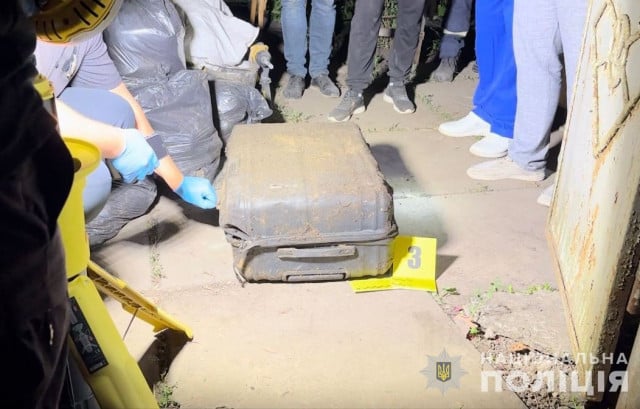 В Кривом Роге за убийство 10-летней девочки задержали ее мать
