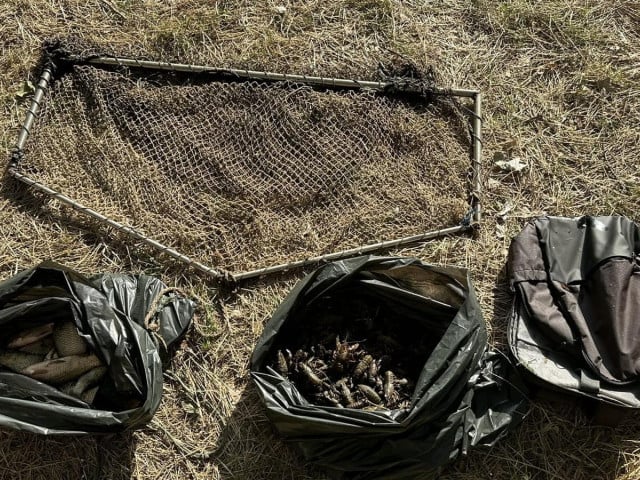 На Днепропетровщине браконьеры выловили 158 раков во время действия запрета: какие убытки