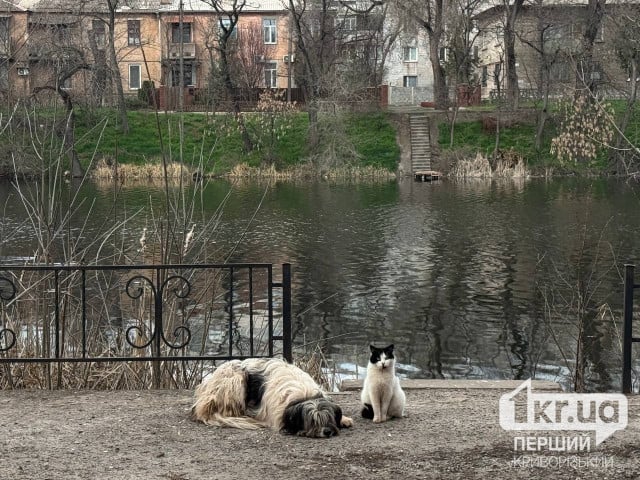 Погода в Кривом Роге 9 апреля