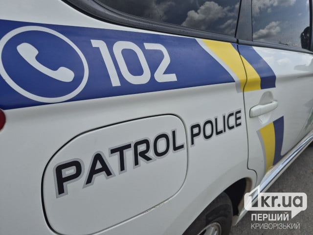 Распивала алкоголь во дворе и напала на патрульных: в Кривом Роге вынесли приговор женщине
